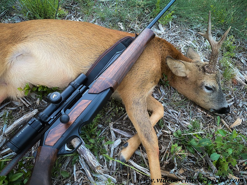 Chasse au chevreuil 2020 2021 Chasse au chevreuil 2020 2021